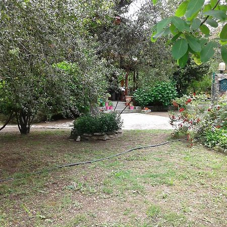 Ακαμάτης Γιώργος Ξενοδοχείο Θέρμα Εξωτερικό φωτογραφία