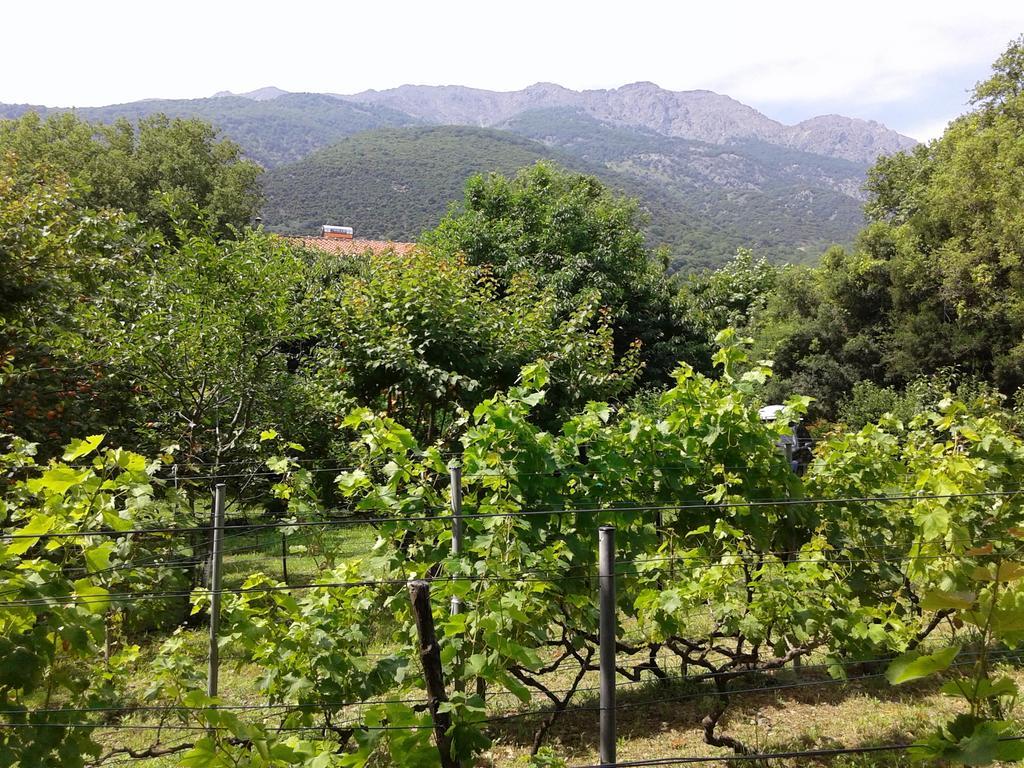 Ακαμάτης Γιώργος Ξενοδοχείο Θέρμα Εξωτερικό φωτογραφία